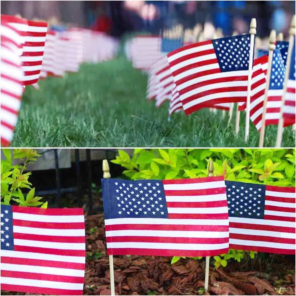 Mini Patriotic American Flag Pack