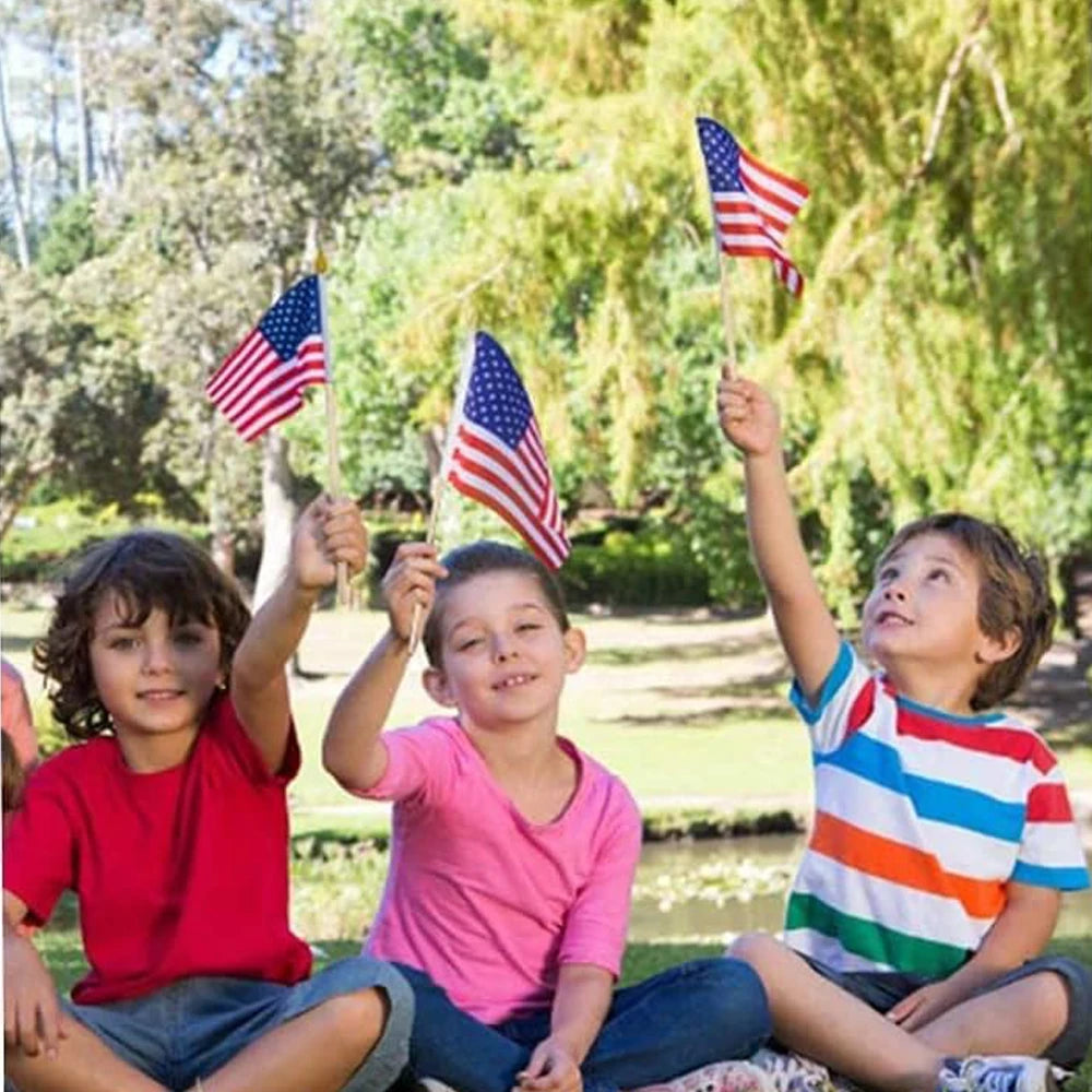 Mini Patriotic American Flag Pack