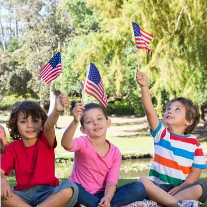 Mini Patriotic American Flag Pack