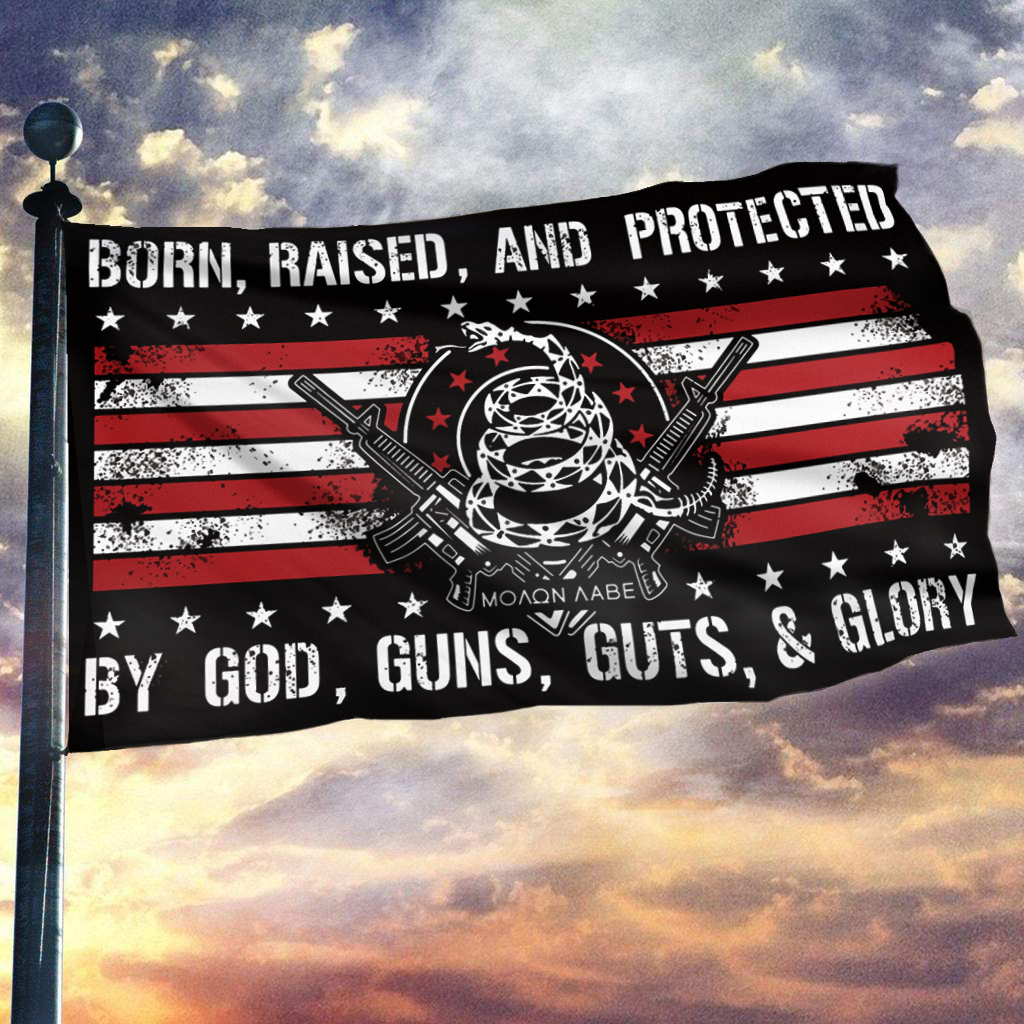Patriotic Home Flag And Pin Set