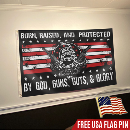 Patriotic Home Flag And Pin Set