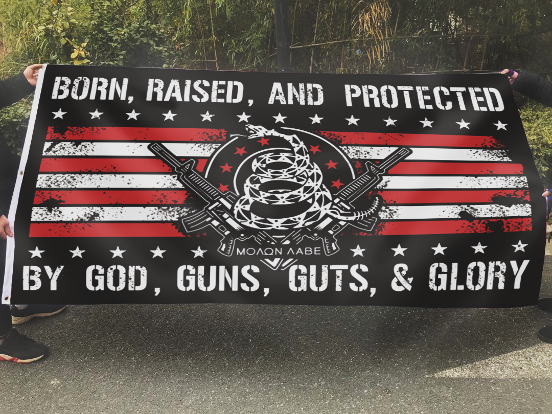 Patriotic Home Flag And Pin Set
