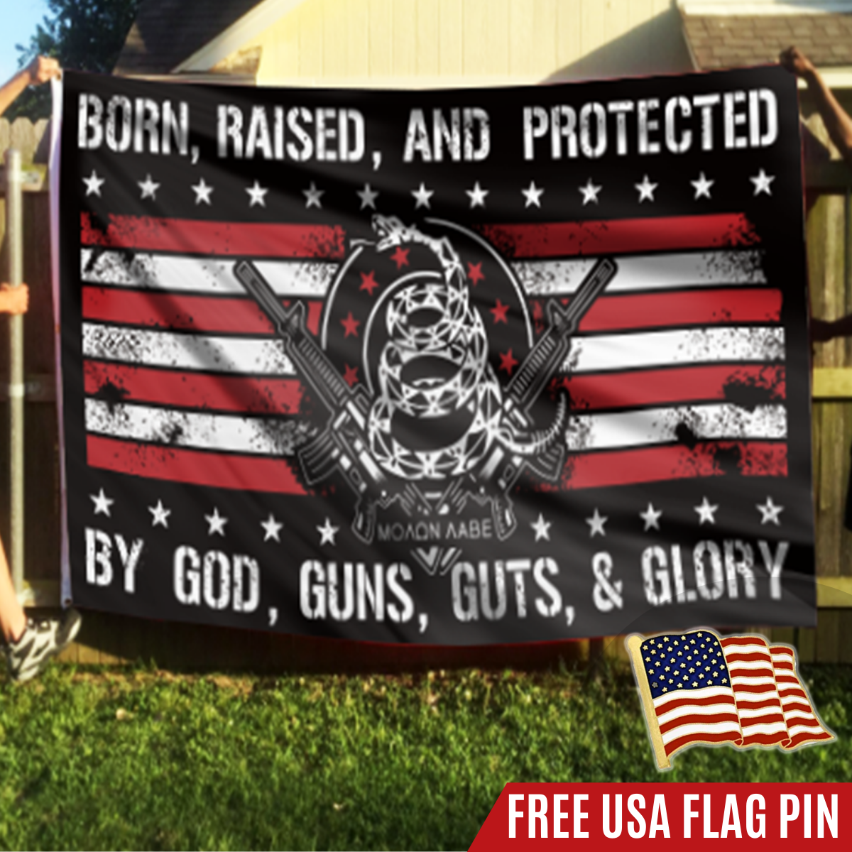 Patriotic Home Flag And Pin Set