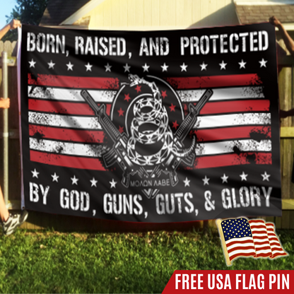 Patriotic Home Flag And Pin Set