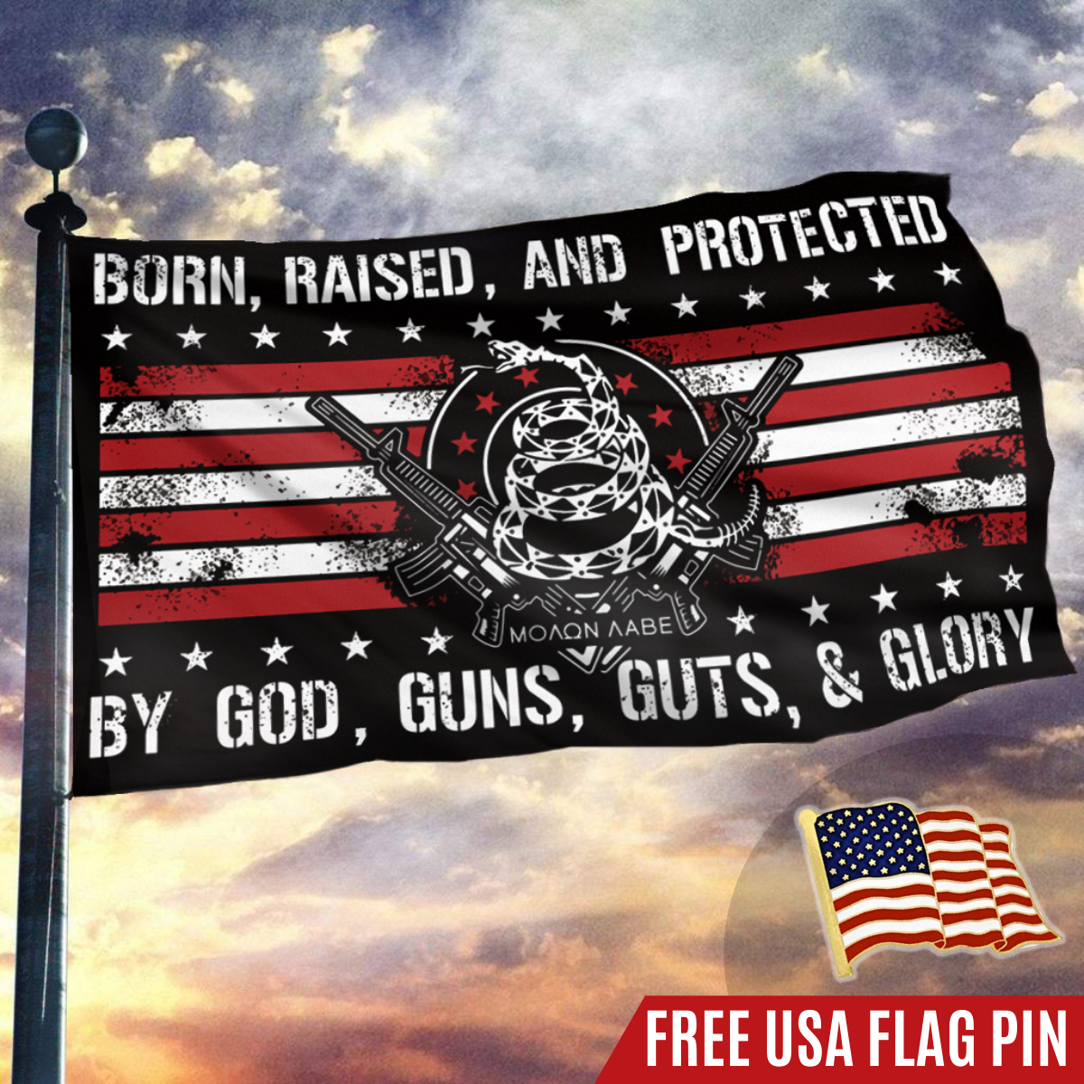 Patriotic Home Flag And Pin Set